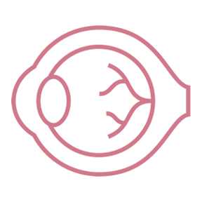 白内障の日帰り手術